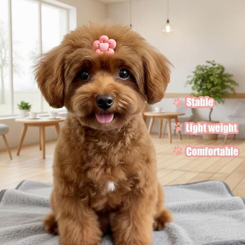30 Pcs Small Dog Hair Bows with Rubber Bands, Pink Handmade Topknot Grooming Accessories, Cute Puppy Hair Ties for Girl Yorkie, Shih Tzu, Maltese in Kuwait