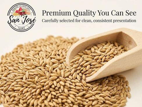 Canary Seeds – 1LB Natural Grain for Human Consumption in Saudi Arabia