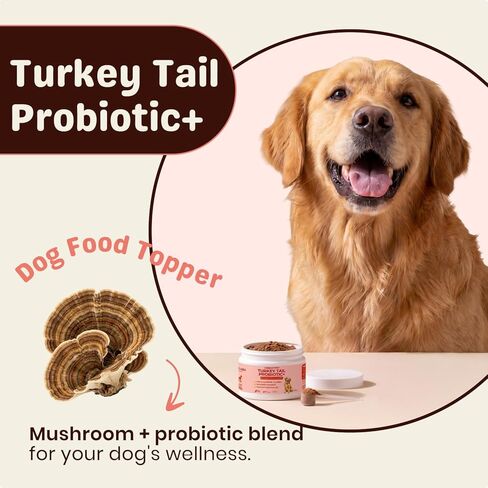 Turkey Tail Mushroom for Dogs – Turkey Tail Mushroom Powder with Probiotics for Immune and Digestive Support, Supports Lumps and Bumps, Bacon Flavored Daily Dog Supplement in Kuwait