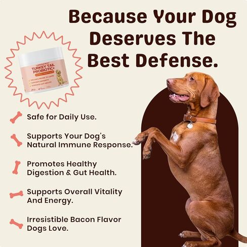 Turkey Tail Mushroom for Dogs – Turkey Tail Mushroom Powder with Probiotics for Immune and Digestive Support, Supports Lumps and Bumps, Bacon Flavored Daily Dog Supplement in Kuwait