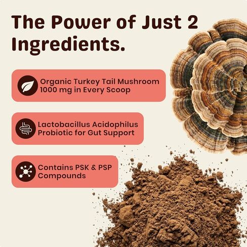 Turkey Tail Mushroom for Dogs – Turkey Tail Mushroom Powder with Probiotics for Immune and Digestive Support, Supports Lumps and Bumps, Bacon Flavored Daily Dog Supplement in Kuwait