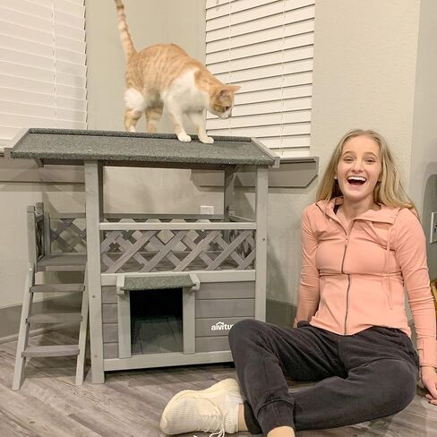 Feral Cat House Outdoor and Indoor Kitty Shelter with Stairs for Cats Insulated, Weatherproof Roof for Winter in Kuwait