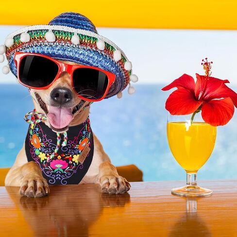 jarThenaAMCS 2PCS الكلب المكسيكي باندانا مثلث الحيوانات الأليفة وشاح Cinco De Mayo Fiesta أسود أبيض الأزهار قابل للتعديل الحيوانات الأليفة منديل لمتوسط ​​كبير الكلب القط كرنفال زي الملحقات in Kuwait