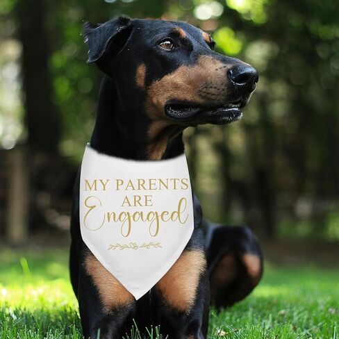 My Parents are Engaged Dog Bandana Bridal Shower Gifts Engagement Announcement Wedding Party Decorations Photo Prop Durable Triangle Scarf for Small Medium Large Dogs in Kuwait