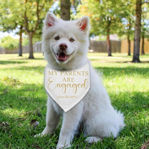 My Parents are Engaged Dog Bandana Bridal Shower Gifts Engagement Announcement Wedding Party Decorations Photo Prop Durable Triangle Scarf for Small Medium Large Dogs in Kuwait