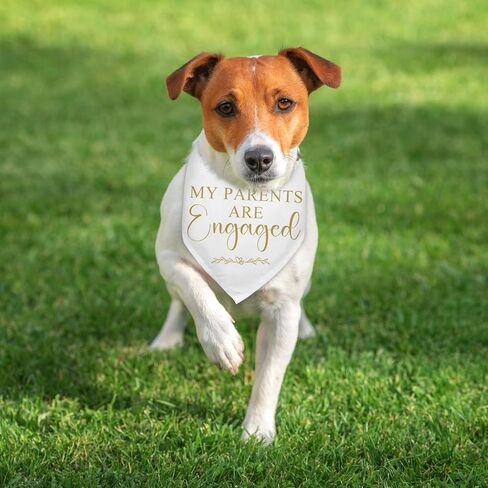 My Parents are Engaged Dog Bandana Bridal Shower Gifts Engagement Announcement Wedding Party Decorations Photo Prop Durable Triangle Scarf for Small Medium Large Dogs in Kuwait
