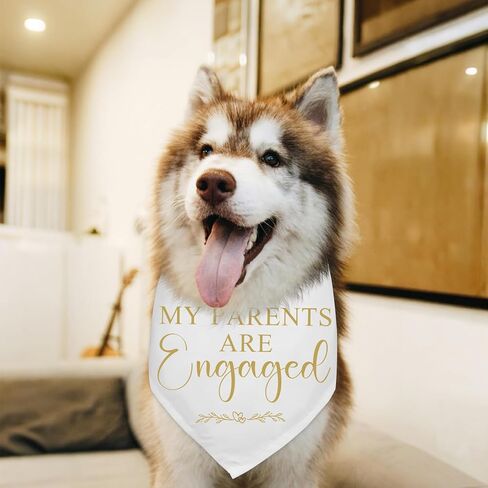 My Parents are Engaged Dog Bandana Bridal Shower Gifts Engagement Announcement Wedding Party Decorations Photo Prop Durable Triangle Scarf for Small Medium Large Dogs in Kuwait