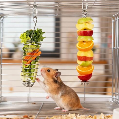 2Pcs Rat Enrichment Toys Stainless Steel Bird Food Holder Hanging Rodent Toys Slow Feeder Fancy Mice Cage Accessories Puzzle Toy for Hamster Rodents Bird Parrots Fruit Vegetable Holder in Kuwait