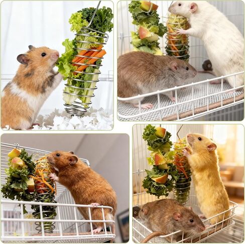 2Pcs Rat Enrichment Toys Stainless Steel Bird Food Holder Hanging Rodent Toys Slow Feeder Fancy Mice Cage Accessories Puzzle Toy for Hamster Rodents Bird Parrots Fruit Vegetable Holder in Kuwait