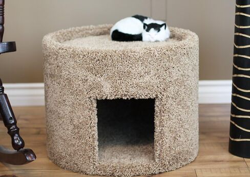 سرير ومنزل للقطط مفروش بالسجاد مقاس X-Large من New Cat Condos، بني in Kuwait