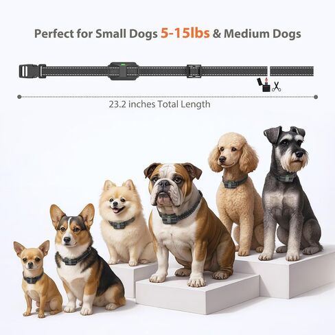 Small Dog Shock Collar for Small Dogs 5-15lbs, Ultra-Dog Training Collar with 3300Ft Remote Range,3 Training Mode Beep,Vibration,Shock, Waterproof Bark Collar (Black-B) in Kuwait