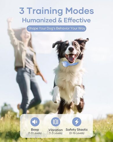 Shock Collar for Small Dogs - 4200FT Dog Training Collar with Remote for 5-30lbs Mini Small Dogs, IPX8-Waterproof Rechargeable E-Collar with Beep (1-9), Vibration(1-3), Safe Shock(0-16)(Blue) in Kuwait