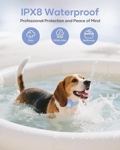 Shock Collar for Small Dogs - 4200FT Dog Training Collar with Remote for 5-30lbs Mini Small Dogs, IPX8-Waterproof Rechargeable E-Collar with Beep (1-9), Vibration(1-3), Safe Shock(0-16)(Blue) in Kuwait