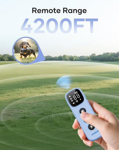 Shock Collar for Small Dogs - 4200FT Dog Training Collar with Remote for 5-30lbs Mini Small Dogs, IPX8-Waterproof Rechargeable E-Collar with Beep (1-9), Vibration(1-3), Safe Shock(0-16)(Blue) in Kuwait