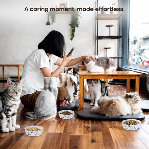 Disposable Cat Food Bowl Set(600 Pcs Cat Bowls Liners + 4 Pcs Stainless Steel Pet Bowls) Bulk Disposable Pet Food Bowls for Feeding Dry or Wet Food to Cats Puppy Small Dogs(Adorable Cat Faces Design) in Kuwait