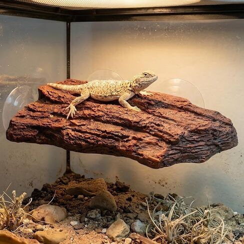 Turtle Basking Plat Form with 3 Suction Cups, Shale Climbing Ramp for Tortoises/Terrapins, Frogs & Newts, Aquarium Resting Terrace Decoration in Kuwait