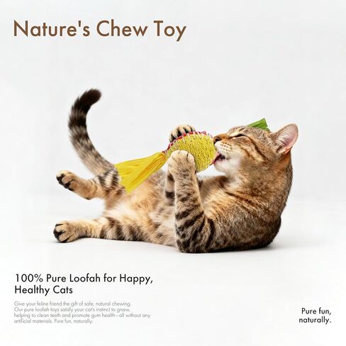 Mira's Pocket Natural Loofah Cat Toy with Feathers, Elastic Bouncing Chew Toy with Catnip & Bell, Self-Play Enrichment Toy for Indoor Cats to Relieve Boredom (Color Mixing) in Kuwait