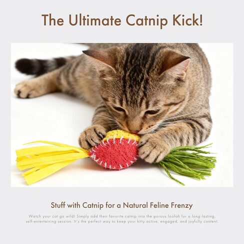 Mira's Pocket Natural Loofah Cat Toy with Feathers, Elastic Bouncing Chew Toy with Catnip & Bell, Self-Play Enrichment Toy for Indoor Cats to Relieve Boredom (Color Mixing) in Kuwait