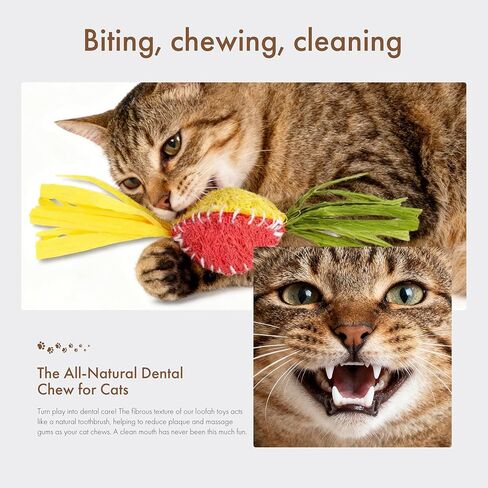 Mira's Pocket Natural Loofah Cat Toy with Feathers, Elastic Bouncing Chew Toy with Catnip & Bell, Self-Play Enrichment Toy for Indoor Cats to Relieve Boredom (Color Mixing) in Kuwait