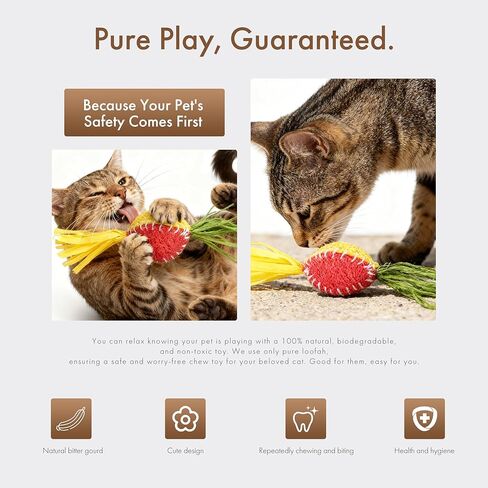 Mira's Pocket Natural Loofah Cat Toy with Feathers, Elastic Bouncing Chew Toy with Catnip & Bell, Self-Play Enrichment Toy for Indoor Cats to Relieve Boredom (Color Mixing) in Kuwait