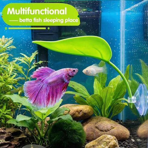 3pcs Turtle Basking Platform Tree Frog Gecko Turtle Tank Accessories Leaf Shape Crested Gecko Hide Frog Tank Accessories with Suction Cups Turtles Tanks Decor in Kuwait