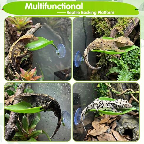 3pcs Turtle Basking Platform Tree Frog Gecko Turtle Tank Accessories Leaf Shape Crested Gecko Hide Frog Tank Accessories with Suction Cups Turtles Tanks Decor in Kuwait