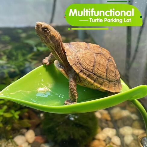 3pcs Turtle Basking Platform Tree Frog Gecko Turtle Tank Accessories Leaf Shape Crested Gecko Hide Frog Tank Accessories with Suction Cups Turtles Tanks Decor in Kuwait