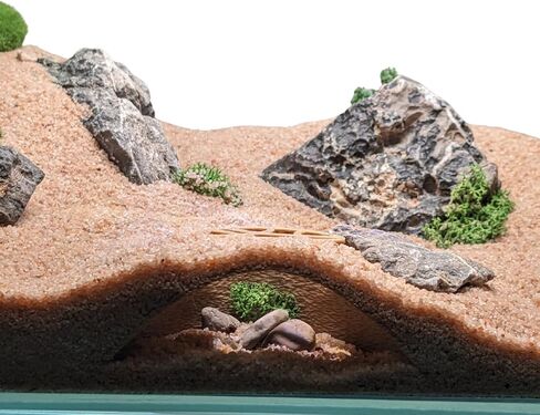 Aquarium & Terrarium Natural Viewing Cave | Fish & Reptiles | Gecko, Corydora, Pleco, Kuhli Loach Hide (Sand - Grid Entrance Design - for Shrimp, Isopods) in Saudi Arabia