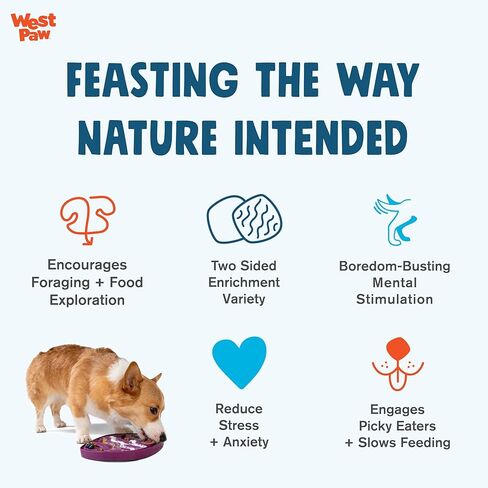 West Paw Seaflex Bubbles Feast Mat – All-in-One, Slow Feeder, Lick Mat – Encourages Foraging & Food Exploration - Engages Picky Eaters & Slow Feeding - Versatile – Easy to Clean, Non-Toxic -Periwinkle in Saudi Arabia