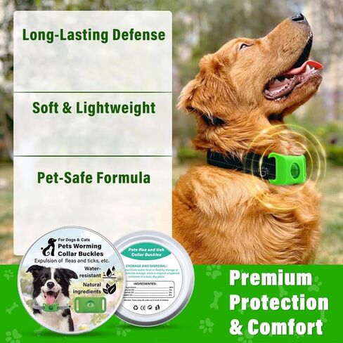 Tags for Dogs, Natural Collar for Dog, Waterproof Design, Long Lasting Protection, Extremely Stretchable - Fits Every Dog, for Rain, Mud, River, Swim (2PCS-Green) in Saudi Arabia