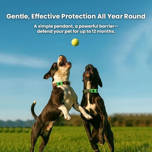 Tags for Dogs, Natural Collar for Dog, Waterproof Design, Long Lasting Protection, Extremely Stretchable - Fits Every Dog, for Rain, Mud, River, Swim (2PCS-Green) in Saudi Arabia