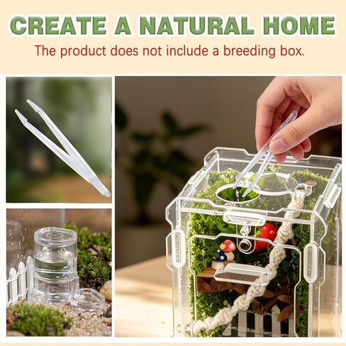 12Pcs Jumping Spider Enclosure Decor Kit - Natural Terrarium Accessories Set with Climbing Net, Moss, Mushroom Shelves, Water Feeder for Small Reptile Habitat Tarantula Gecko in Kuwait