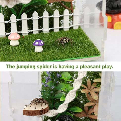 12Pcs Jumping Spider Enclosure Decor Kit - Natural Terrarium Accessories Set with Climbing Net, Moss, Mushroom Shelves, Water Feeder for Small Reptile Habitat Tarantula Gecko in Kuwait