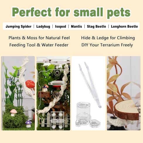 12Pcs Jumping Spider Enclosure Decor Kit - Natural Terrarium Accessories Set with Climbing Net, Moss, Mushroom Shelves, Water Feeder for Small Reptile Habitat Tarantula Gecko in Kuwait
