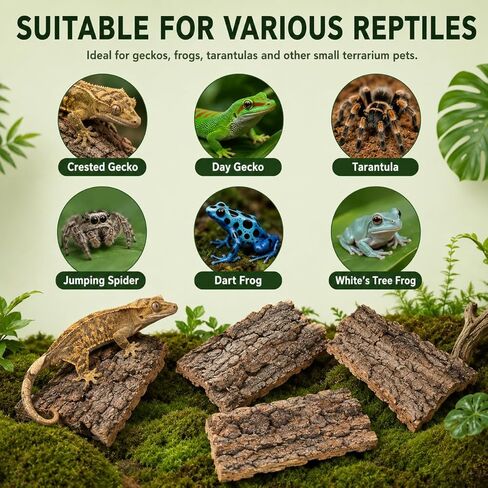 SHINEOFI Cork Bark for Reptiles, 4Pcs Natural Reptile Hide and Basking Platform Tree Bark Decor for Terrarium Gecko Lizard Snake Tortoise Enclosure Landscaping (Random Shapes) in Kuwait