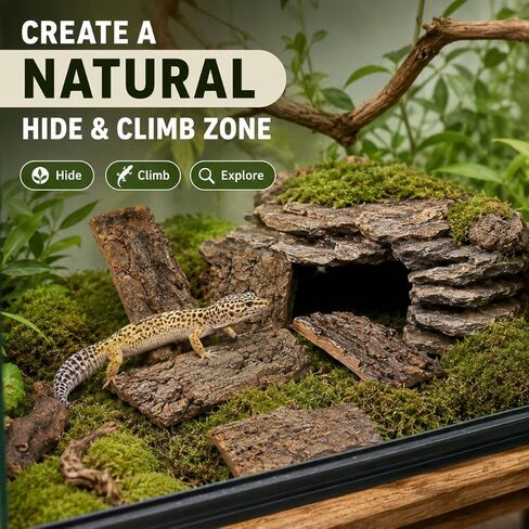 SHINEOFI Cork Bark for Reptiles, 4Pcs Natural Reptile Hide and Basking Platform Tree Bark Decor for Terrarium Gecko Lizard Snake Tortoise Enclosure Landscaping (Random Shapes) in Kuwait