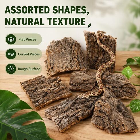 SHINEOFI Cork Bark for Reptiles, 4Pcs Natural Reptile Hide and Basking Platform Tree Bark Decor for Terrarium Gecko Lizard Snake Tortoise Enclosure Landscaping (Random Shapes) in Kuwait