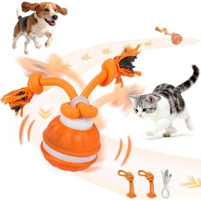 Interactive Dog Toy - Automatic Rolling Ball with Bird Sound, Durable Chew Toy for Small Medium Dogs & Cats, Type-C Rechargeable (Blue) in Saudi Arabia