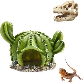 AWXZOM Reptile hideouts Come with Dinosaur Skull Hideout, Resin Cactus Desert Aquarium Tank Habitat Accessories for Bearded Dragon Chameleon Leopard Gecko Snake Fish (Ball Cactus) in Saudi Arabia