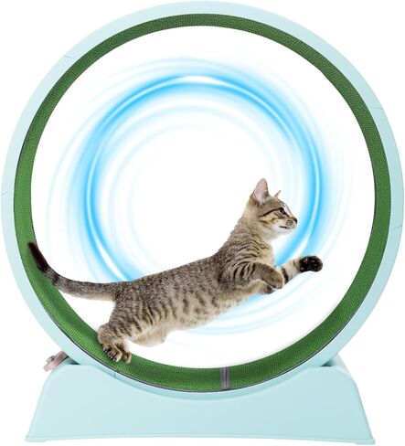 VINGLI Cat Exercise Wheel, 31" Cat Treadmill for Indoor Cats, Cat Running Wheel with Carpeted Runway for Weight Loss & Daily Exercise (Grey) in Saudi Arabia