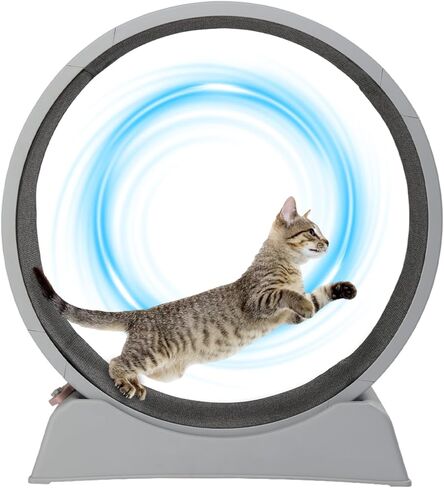 VINGLI Cat Exercise Wheel, 31" Cat Treadmill for Indoor Cats, Cat Running Wheel with Carpeted Runway for Weight Loss & Daily Exercise (Grey) in Saudi Arabia