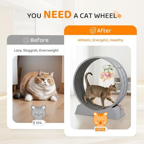 VINGLI Cat Exercise Wheel, 31" Cat Treadmill for Indoor Cats, Cat Running Wheel with Carpeted Runway for Weight Loss & Daily Exercise (Grey) in Saudi Arabia