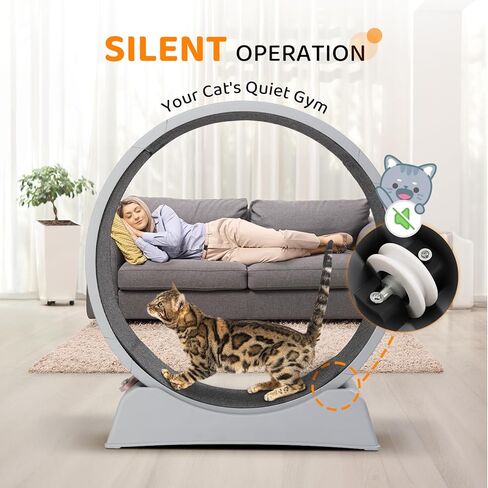 VINGLI Cat Exercise Wheel, 31" Cat Treadmill for Indoor Cats, Cat Running Wheel with Carpeted Runway for Weight Loss & Daily Exercise (Grey) in Saudi Arabia