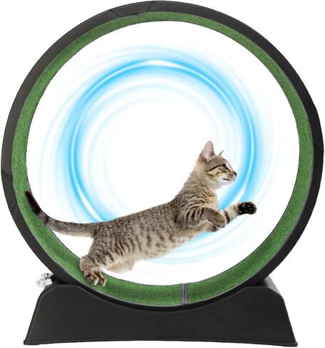 VINGLI Cat Exercise Wheel, 31" Cat Treadmill for Indoor Cats, Cat Running Wheel with Carpeted Runway for Weight Loss & Daily Exercise (Grey) in Saudi Arabia