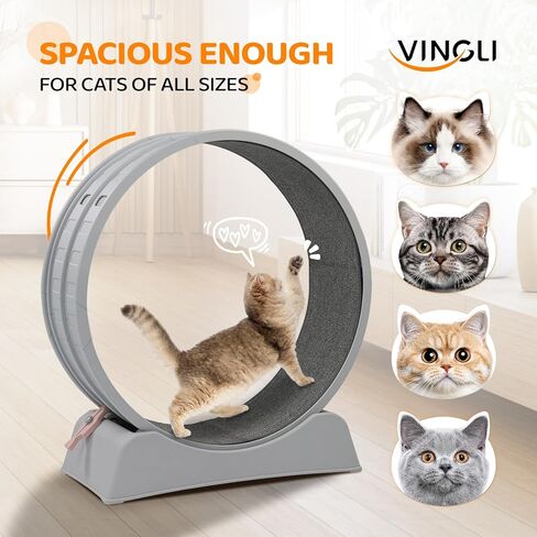 VINGLI Cat Exercise Wheel, 31" Cat Treadmill for Indoor Cats, Cat Running Wheel with Carpeted Runway for Weight Loss & Daily Exercise (Grey) in Saudi Arabia