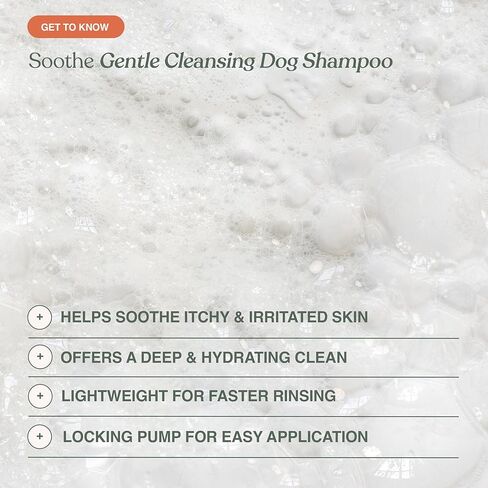 Dandylion Soothe Gentle Cleansing Dog Shampoo | Fragrance-Free for Sensitive & Dry Skin | Sulfate-Free, pH Balanced, Plant-Derived Formula | 16 fl oz in Kuwait