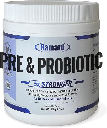 Ramard Total Prebiotic & Probiotic Equine Formula - Natural Digestive Supplement for Horses Optimal Gut Health, Nutrient Absorption, Foal Support Pro & Pre Biotics for Livestocks and Horse 8.5 oz Jar in Kuwait