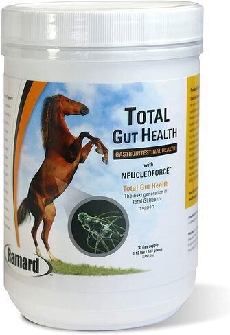 Ramard Total Prebiotic & Probiotic Equine Formula - Natural Digestive Supplement for Horses Optimal Gut Health, Nutrient Absorption, Foal Support Pro & Pre Biotics for Livestocks and Horse 8.5 oz Jar in Kuwait