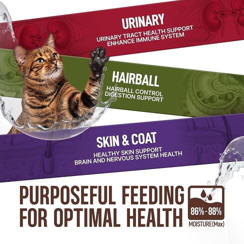 PETPHABET Lickable Cat Treats Spoon, 36 Count Creamy Puree Kitten Treats Variety Pack, Functional Wet Paste Cat Snacks for Skin & Coat Support, Hairball Relief, Urinary Health, Grain-Free Kitty Treat in Saudi Arabia