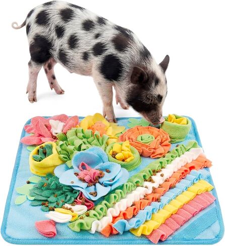 حصيرة Novabright Piggy Snuffle مقاس 15.75 × 15.75 بوصة، وسادة علف ملونة لألعاب إثراء الخنازير مع ظهر مانع للانزلاق، حصيرة استنشاق لخنازير غينيا والأرانب والكلاب، سهلة التنظيف in Kuwait